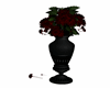 Black vase / red flowers