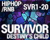 Destiny's Child Survivor