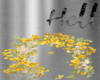 arche jaune weeding