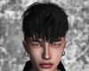 Black Mullet