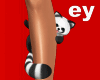 EY Raccon ON Leg