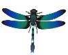 Saphire Blue Dragonfly