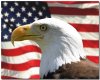 american flag w/eagle 4
