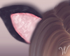 Daddy Cat Ears