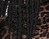 $ Nancy Locs . Drv