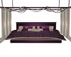 *noc* Dream bed