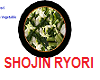 Japanese Shojin-Ryori 