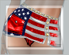 ! 4th JULY SKIRT GA