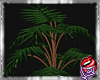 [LD]TropicalcPlant