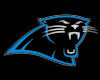 [MPS]NFLPanthers Flat
