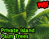 Private Island Palms
