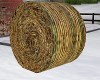 Big Round Bale Feild Hay
