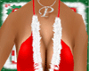 Sexy Santa Dress