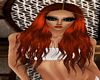 Orange Spice Isidore 2