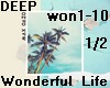 Wonderful Life-deep1/2