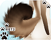 [Pets] Kimi | tail v5