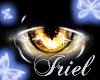 ~ Angel Eyes Gold