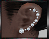 (E) Diamond Earrings