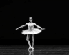 Ballet  5 Dance+10 Pose