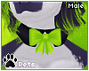 [Pets] Esme | bow collar