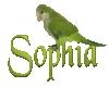 Sophia name