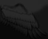 Drak wings