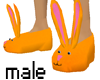 soft orange bunny (male)
