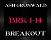 AshGrunwald ~ Breakout
