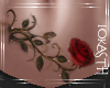 IO-Belly Red Rose Tatt