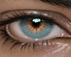 Serene Aqua Eyes