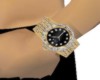 HLS-GoldDMD watch (Male)