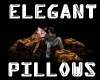 Elegant Brown Pillows