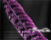 ▲| Purple Long Feather