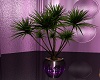 Summer Fun Potted Plant