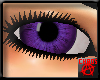 Cute Purple Female Eyes