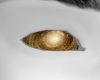 Divine Eyes
