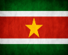 [X] Suriname flag pic
