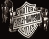 Harley Davidson Logo3