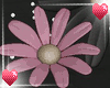 Flower decor  pink blk