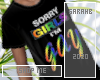 LGBTQ Shirt 2.0