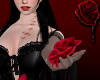 K | Holding Rose