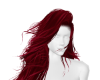 𝓢𝓔 Shimmer Berry
