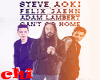 STEVE AOKI CAN'T GO HOME