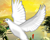 Mz.Dove Enhancer