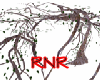 ~RnR~LEANING TREE