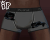 IP Boxer Black Tiger
