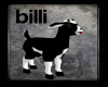 Goat-trig :billi