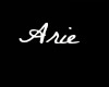 Arie chest tattoo