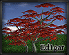 (ED1)Tree-20--Animation