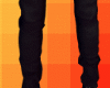Burgendy Black Suit Legs